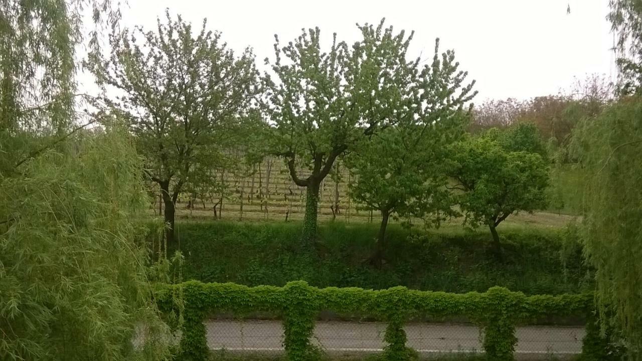 Agriturismo Cascina Barin Родди Экстерьер фото